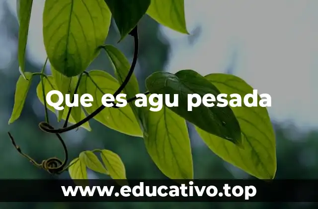 Que es agu pesada