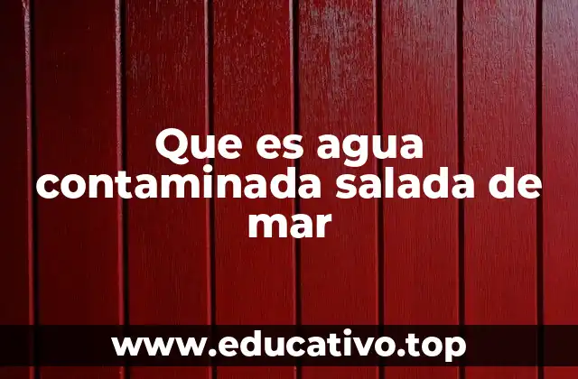 Que es agua contaminada salada de mar