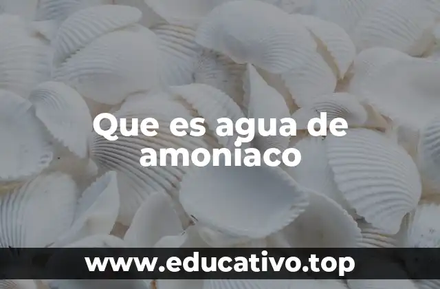 Que es agua de amoniaco