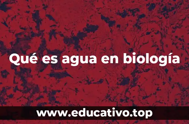 Qué es agua en biología