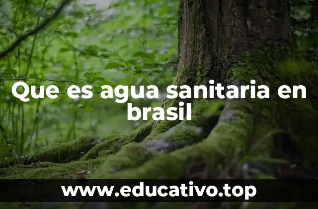 Que es agua sanitaria en brasil