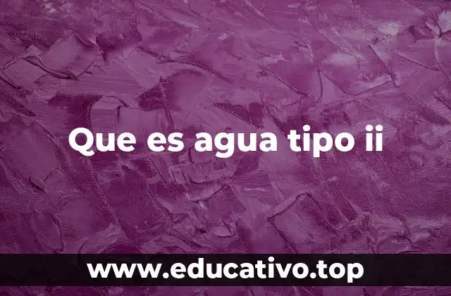 Que es agua tipo ii