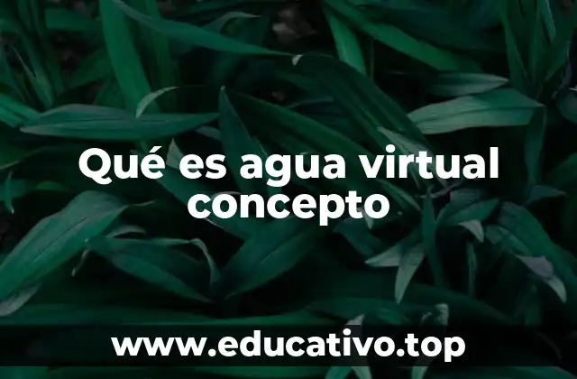 Qué es agua virtual concepto