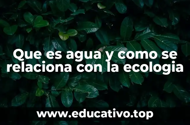 Que es agua y como se relaciona con la ecologia