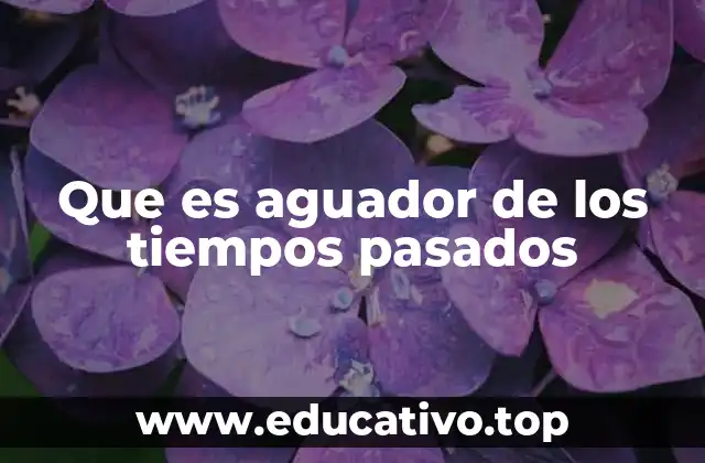 Que es aguador de los tiempos pasados