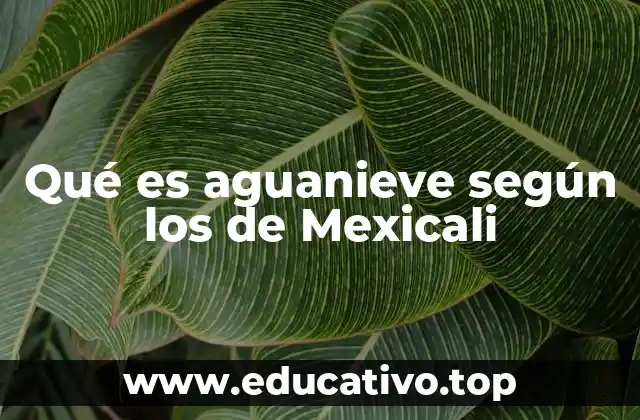 Qué es aguanieve según los de Mexicali