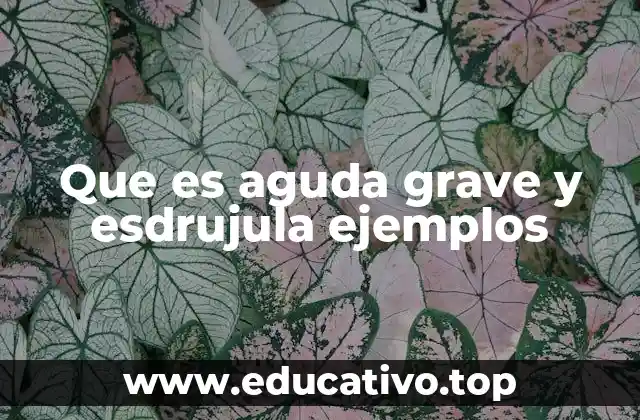 Que es aguda grave y esdrujula ejemplos