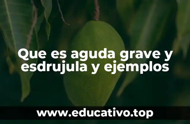 Que es aguda grave y esdrujula y ejemplos