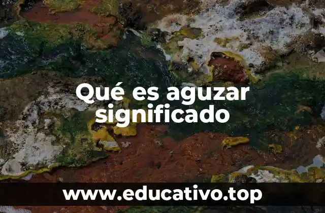 Qué es aguzar significado