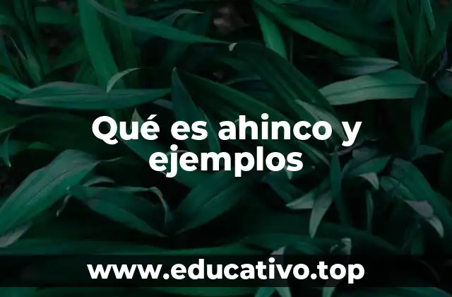 La importancia del esfuerzo constante en el desarrollo personal