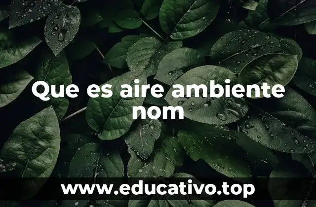 Que es aire ambiente nom