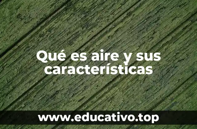 La importancia del aire en el entorno natural