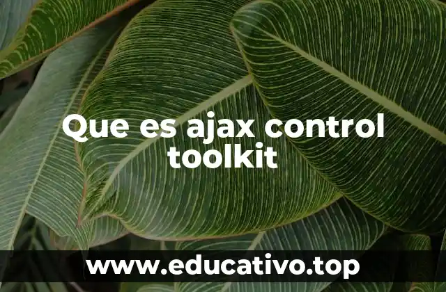 Que es ajax control toolkit