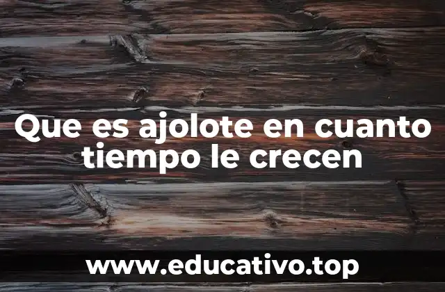 Que es ajolote en cuanto tiempo le crecen