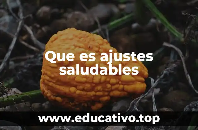 Que es ajustes saludables
