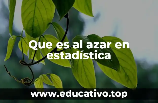 Que es al azar en estadística
