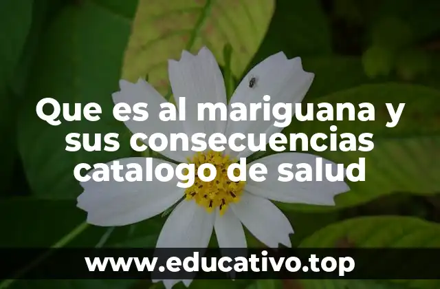 Que es al mariguana y sus consecuencias catalogo de salud