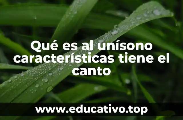Qué es al unísono características tiene el canto