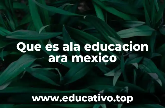 Que es ala educacion ara mexico