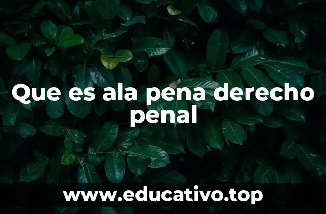 Que es ala pena derecho penal