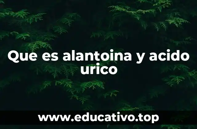 Que es alantoina y acido urico