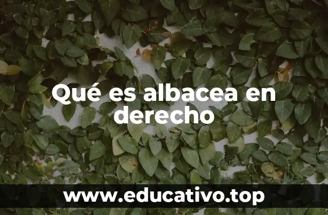Qué es albacea en derecho