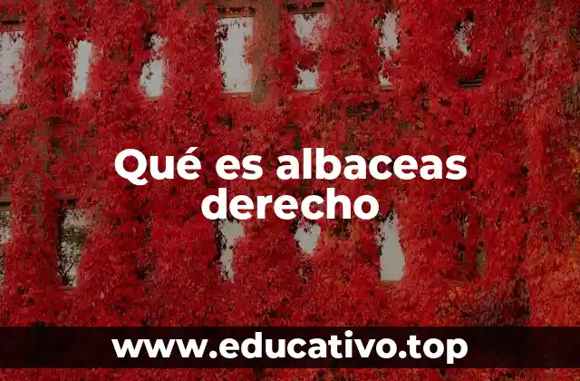 Qué es albaceas derecho