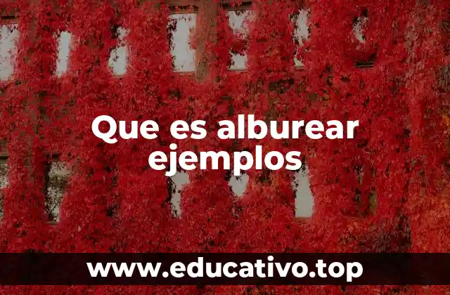 El uso de alburear en contextos cotidianos