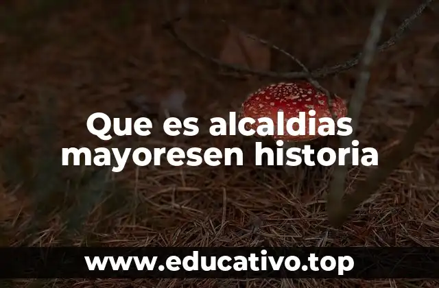Que es alcaldias mayoresen historia