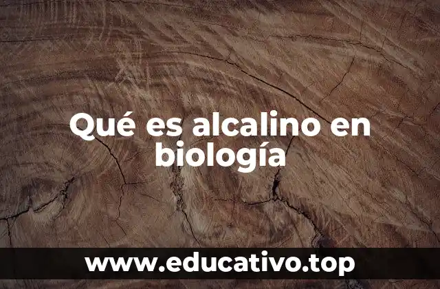 Qué es alcalino en biología