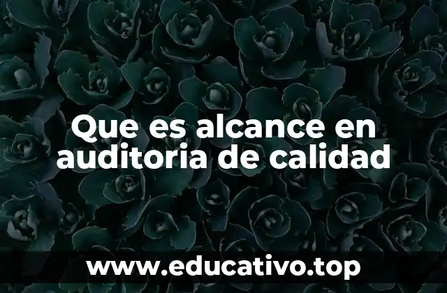 Que es alcance en auditoria de calidad