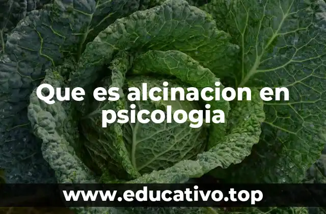 Que es alcinacion en psicologia