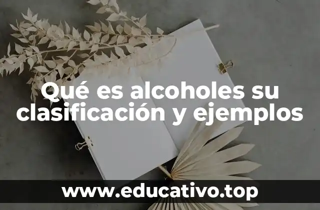 Qué es alcoholes su clasificación y ejemplos