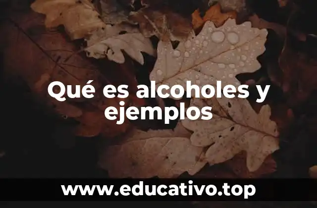 Qué es alcoholes y ejemplos