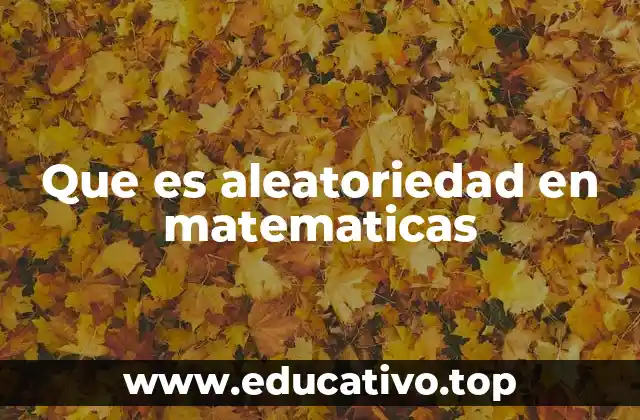 Que es aleatoriedad en matematicas