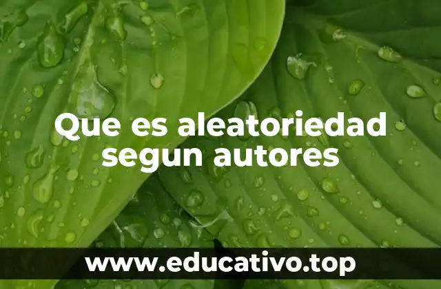 Que es aleatoriedad segun autores