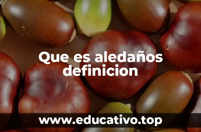 Que es aledaños definicion