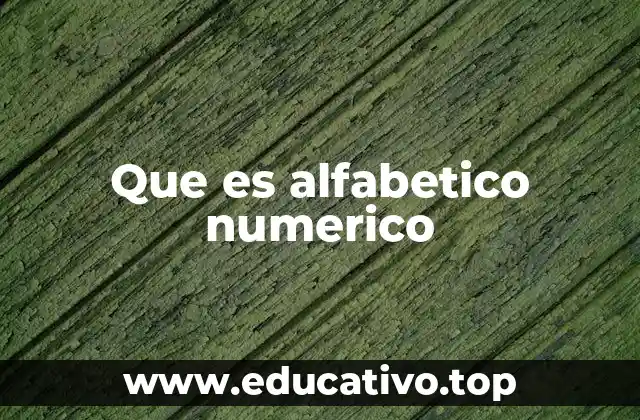 Que es alfabetico numerico