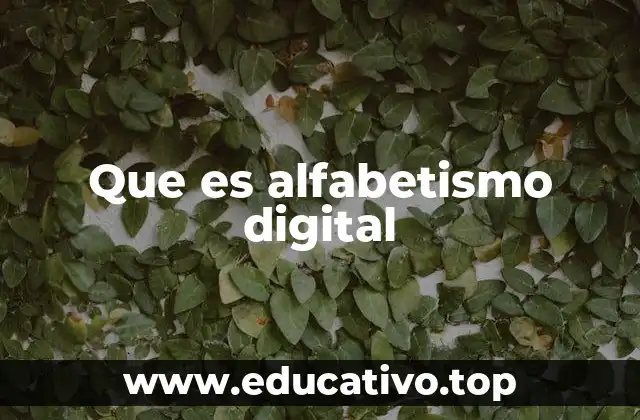 Que es alfabetismo digital