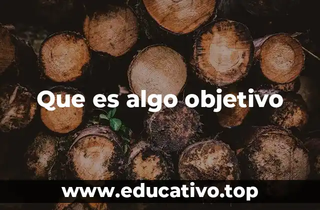 Que es algo objetivo