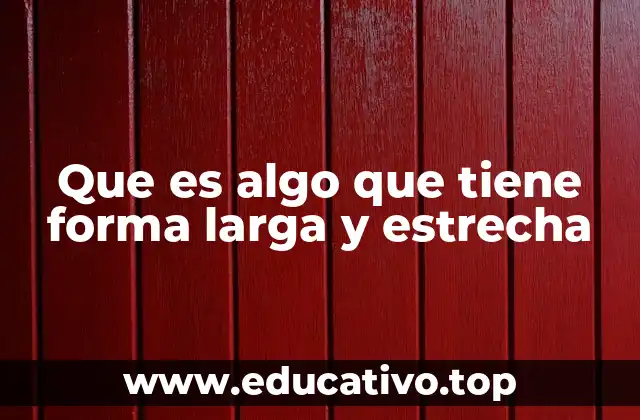 Que es algo que tiene forma larga y estrecha