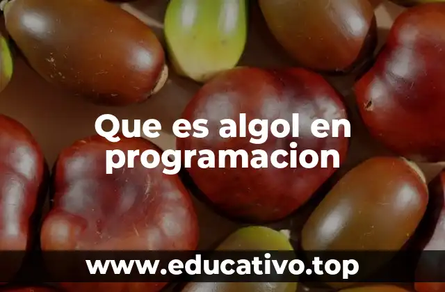 Que es algol en programacion