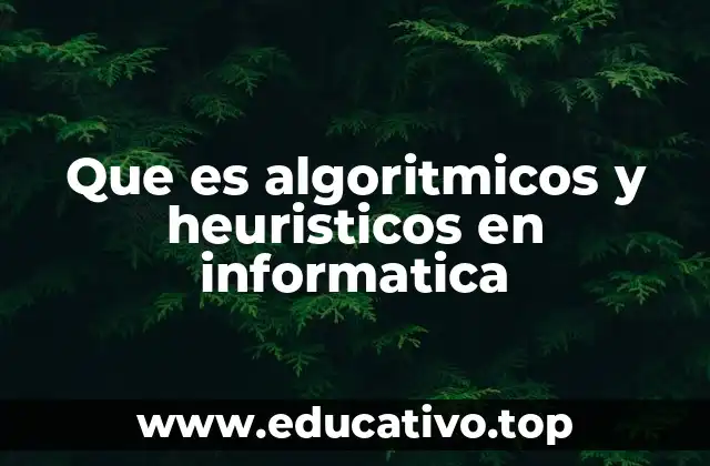Que es algoritmicos y heuristicos en informatica