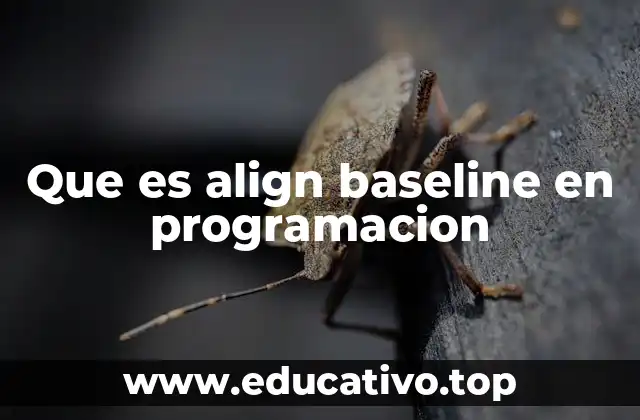 Que es align baseline en programacion