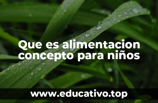 Que es alimentacion concepto para niños