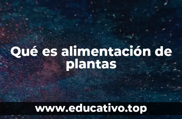 Qué es alimentación de plantas