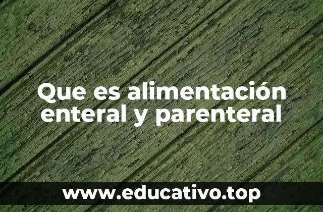 Que es alimentación enteral y parenteral