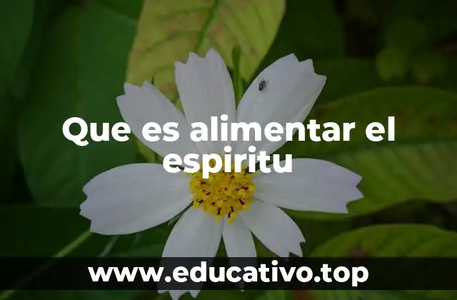 Que es alimentar el espiritu