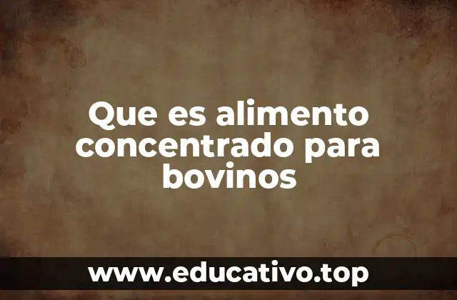 El rol del alimento concentrado en la nutrición bovina