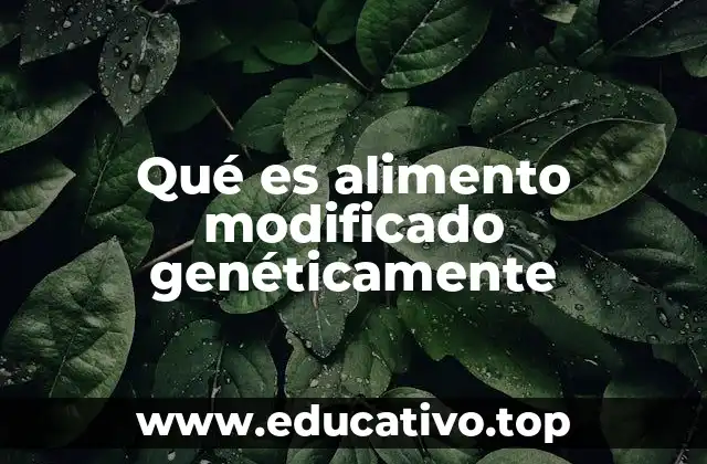Qué es alimento modificado genéticamente